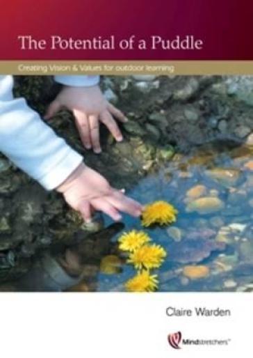 Potential of a Puddle