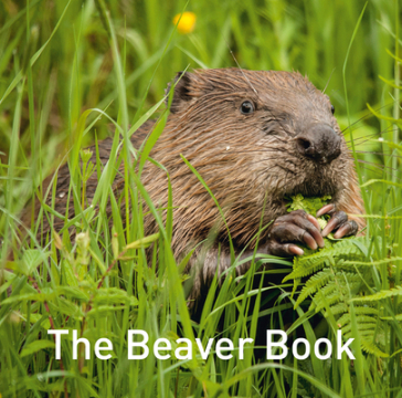 Nature Book Series: The Beaver Book
