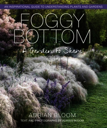 Foggy Bottom