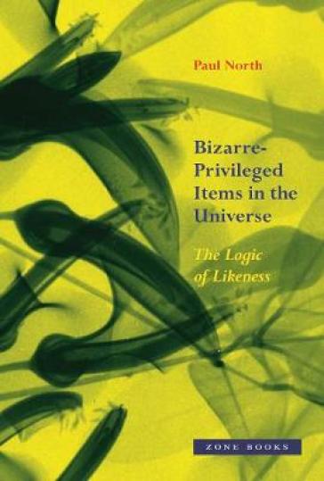 Bizarre¿Privileged Items in the Universe ¿ The Logic of Likeness