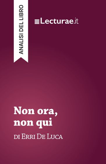 Non ora, non qui - Erri De Luca (analisi del libro)