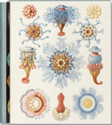 The art and science of Ernst Haeckel. Ediz. inglese, francese e tedesca