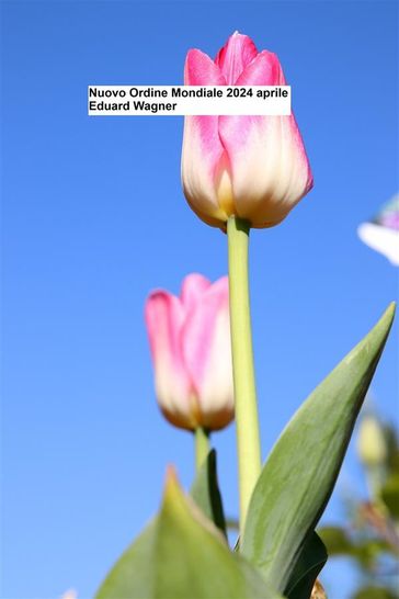 Nuovo Ordine Mondiale 2024 aprile-0