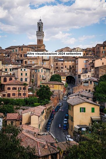 Altre visualizzazioni 2024 settembre