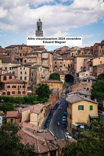 Altre visualizzazioni 2024 novembre