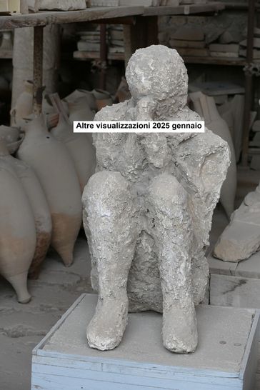 Altre visualizzazioni 2025 gennaio