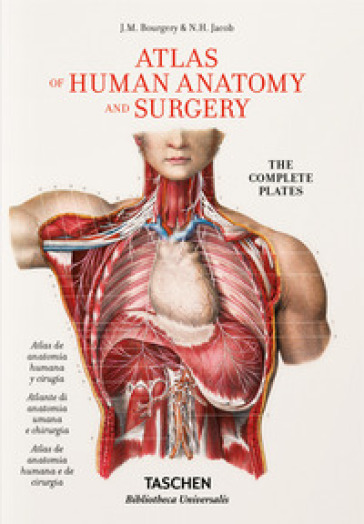 Bourgery. Atlas de anatomía humana y cirugía. Ediz. italiana, spagnola, portoghese