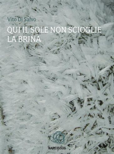 Qui il sole non scioglie la brina