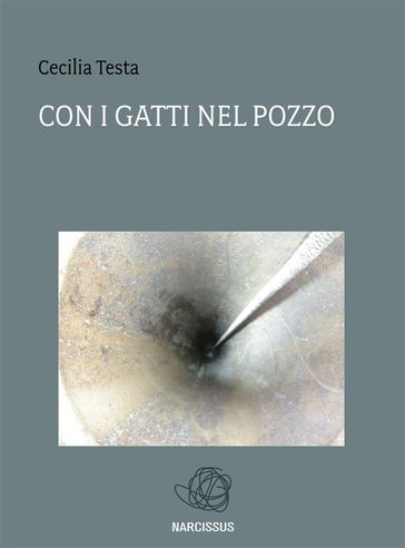 Con i gatti nel pozzo