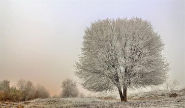 Il sole non scioglie la brina