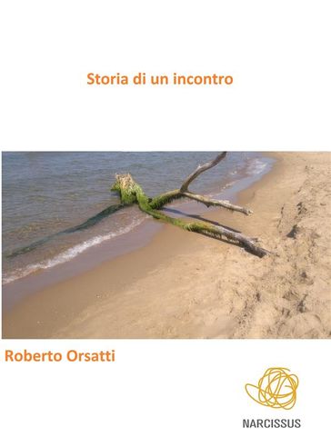 Storia di un incontro