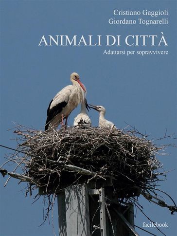 Animali di città