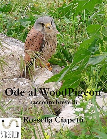 Ode al Woodpigeon - Ovvero come vivere liberi
