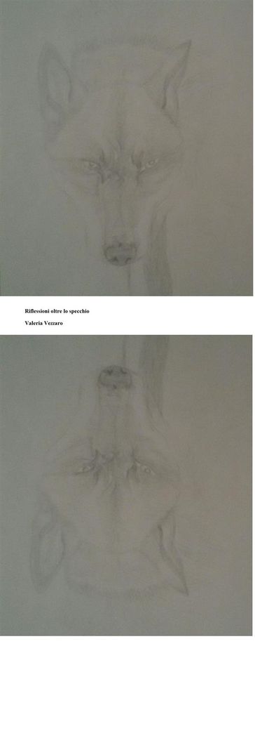 Riflessioni oltre lo specchio