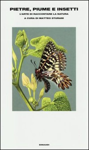 Pietre, piume e insetti. L'arte di raccontare la natura-0