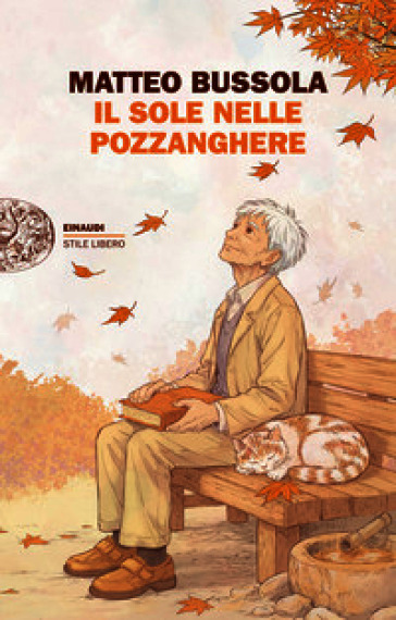 Il sole nelle pozzanghere