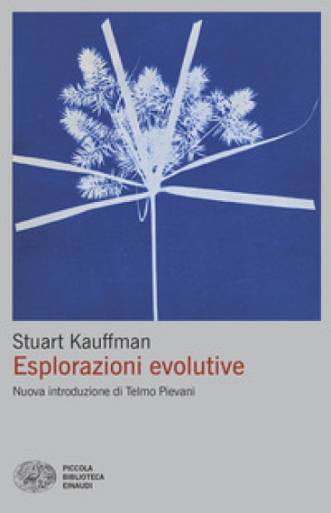 Esplorazioni evolutive