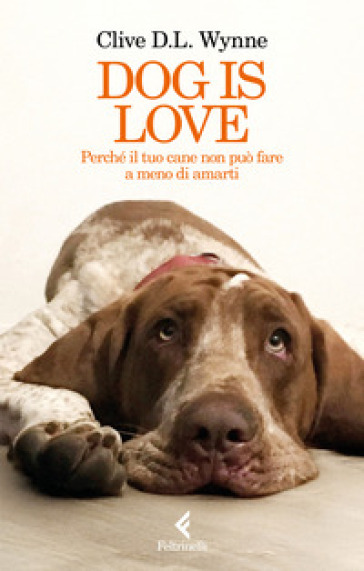 Dog is love. Perché il tuo cane non può fare a meno di amarti