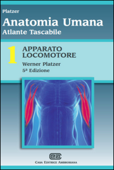 Atlante tascabile di anatomia umana. Vol. 1: Apparato locomotore