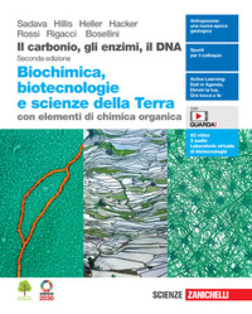 IL CARBONIO GLI ENZIMI IL DNA N.E. ED. M
