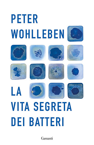 La vita segreta dei batteri