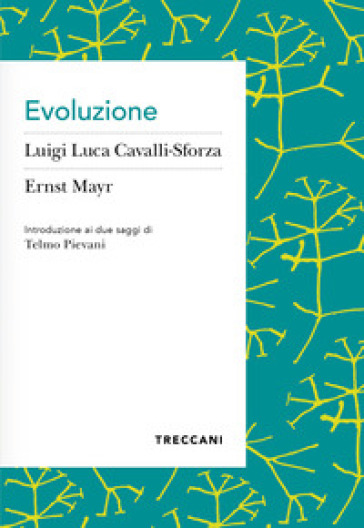 Evoluzione