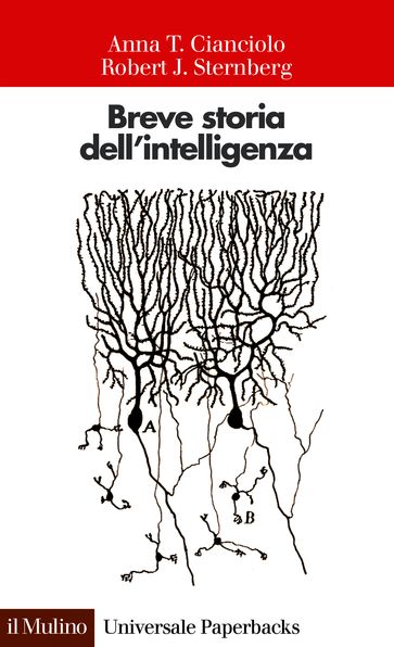 Breve storia dell'intelligenza
