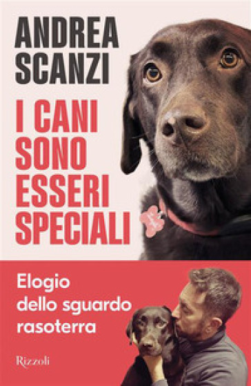 I cani sono esseri speciali. Elogio dello sguardo rasoterra