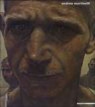 Andrea Martinelli. Un certo sguardo. Ediz. illustrata