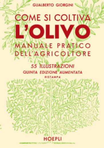 Come si coltiva l'olivo.