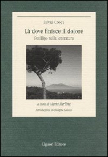 Là dove finisce il dolore. Posillipo nella letteratura