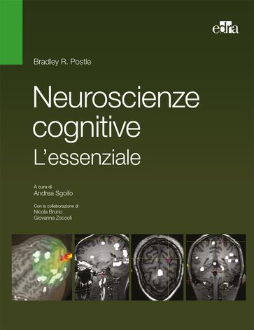 Neuroscienze cognitive. L'essenziale