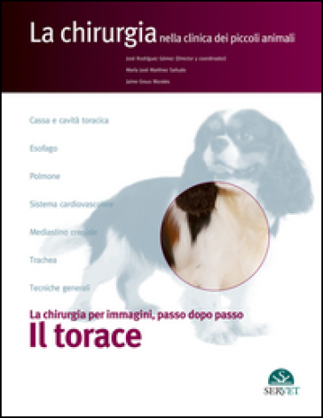 Il torace. La chirurgia per immagini, passo dopo passo