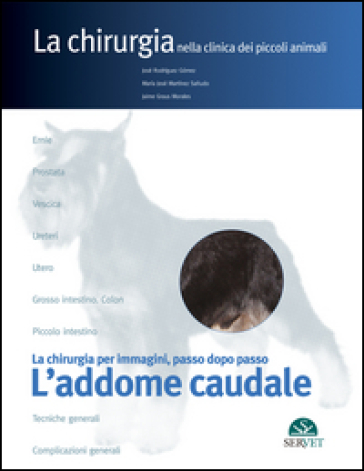 L'addome caudale. La chirurgia per immagini, passo dopo passo