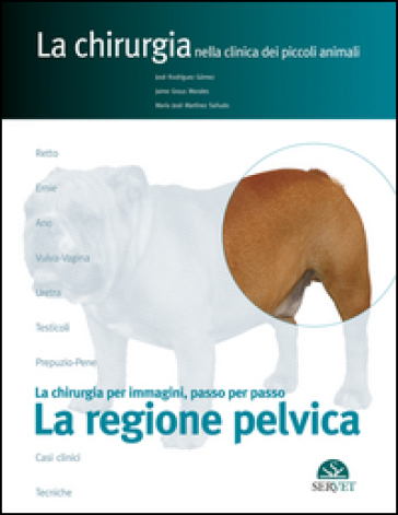 La regione pelvica. La chirurgia per immagini, passo dopo passo