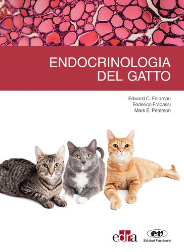 Endocrinologia del gatto