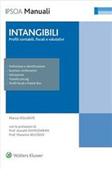 Intangibili: Profili Contabili Fiscali E Valutativi