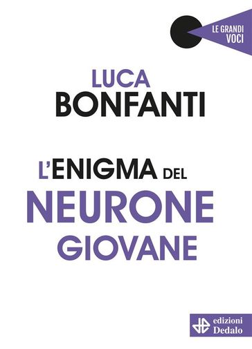L'enigma del neurone giovane