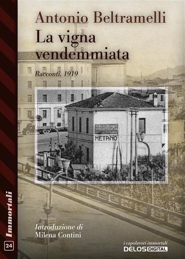 La vigna vendemmiata