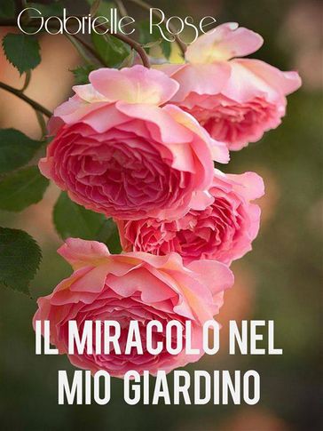 Il Miracolo nel mio giardino