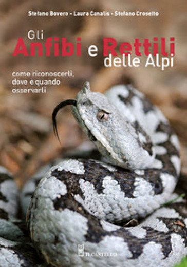 Gli anfibi e rettili delle Alpi. Come riconoscerli, dove e quando osservarli. Ediz. a colori