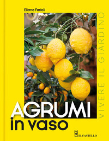 Agrumi in vaso