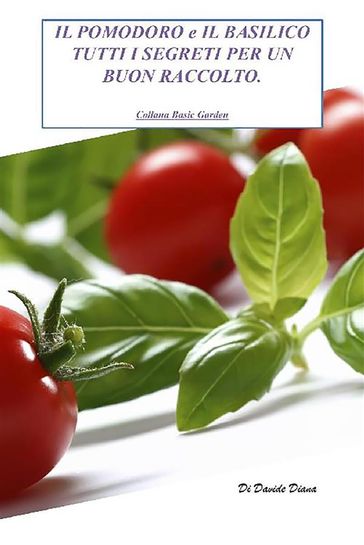 Il pomodoro e il basilico. Tutti i segreti per un buon raccolto