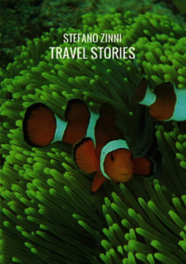 Travel stories