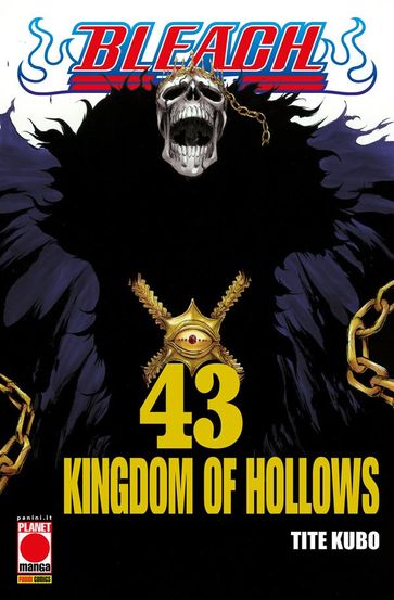Bleach 43