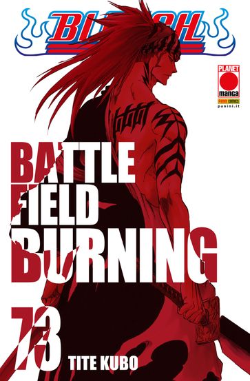 Bleach 73