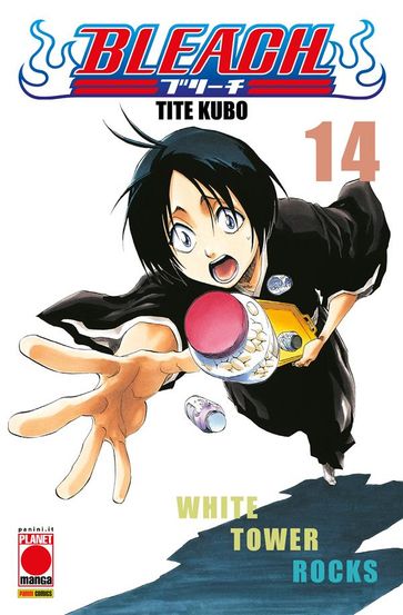 Bleach 14
