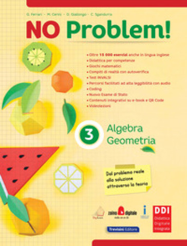 No problem! Algebra e geometria. Per la Scuola media. Con e-book. Con espansione online. Vol. 3