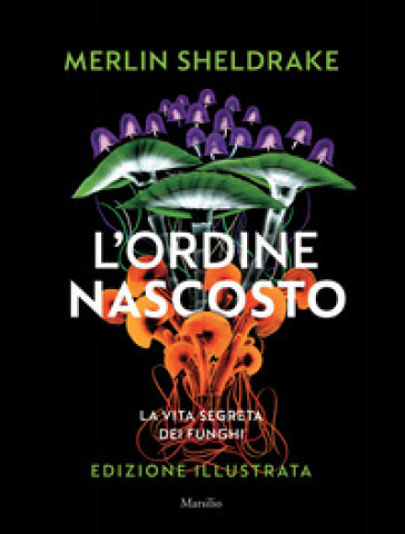 L'ordine nascosto. Ediz. a colori
