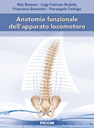 Anatomia funzionale dell'apparato locomotore